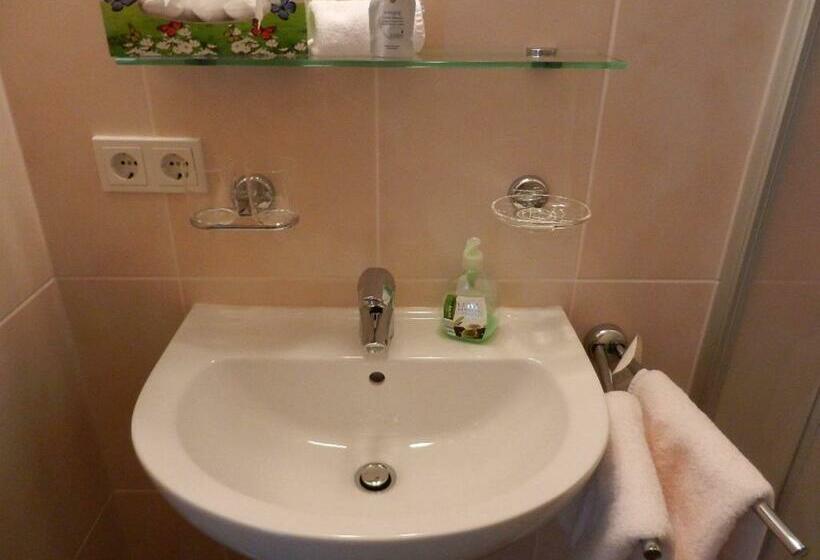 스탠다드 싱글 룸, Pension Apartment Hödner