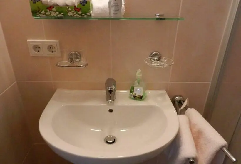 スタンダードシングルルーム, Pension Apartment Hödner