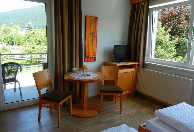 スタンダードルーム, Pension Apartment Hödner