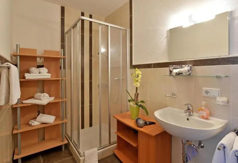１ベッドルームアパートメント, Pension Apartment Hödner