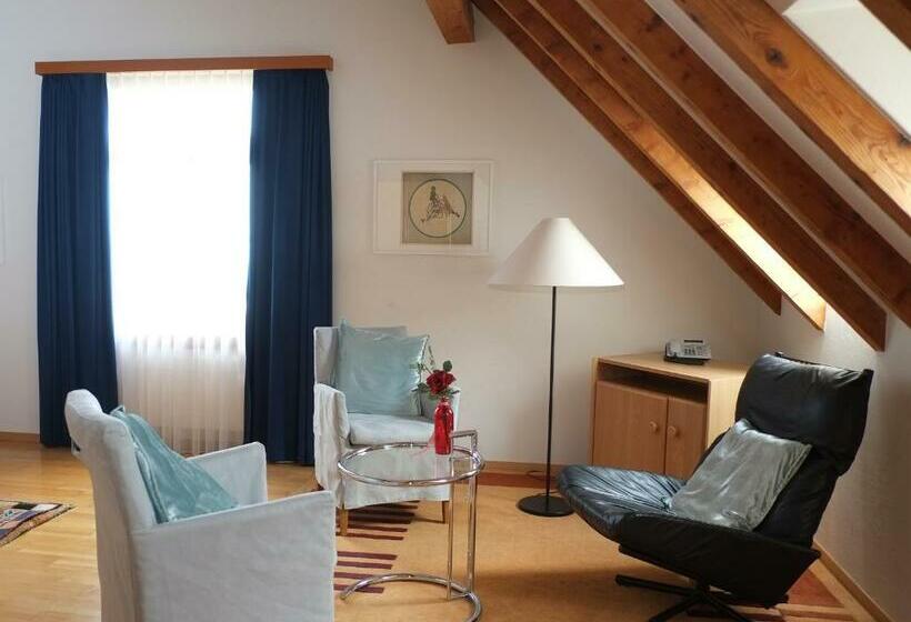 스탠다드 싱글 룸, Brauerei Frohsinn