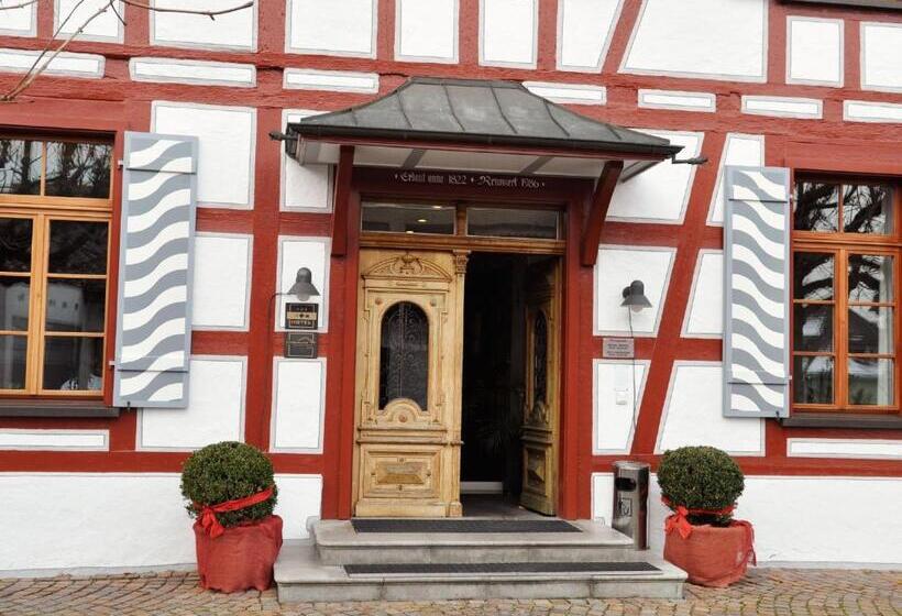 스탠다드 싱글 룸, Brauerei Frohsinn