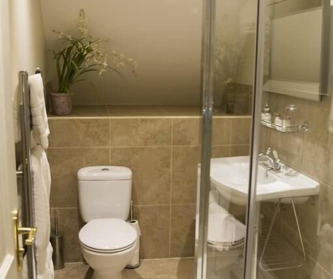 غرفة قياسية, The Lion