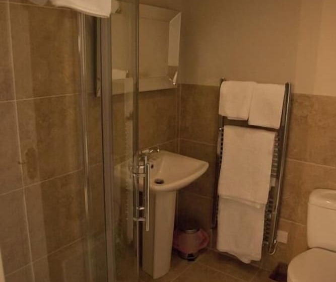 غرفة قياسية, The Lion