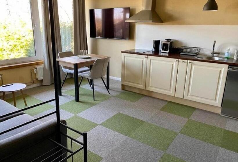 آپارتمان 1 خوابه همکف, Veeriku Villa