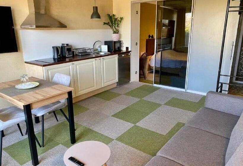 آپارتمان 1 خوابه همکف, Veeriku Villa