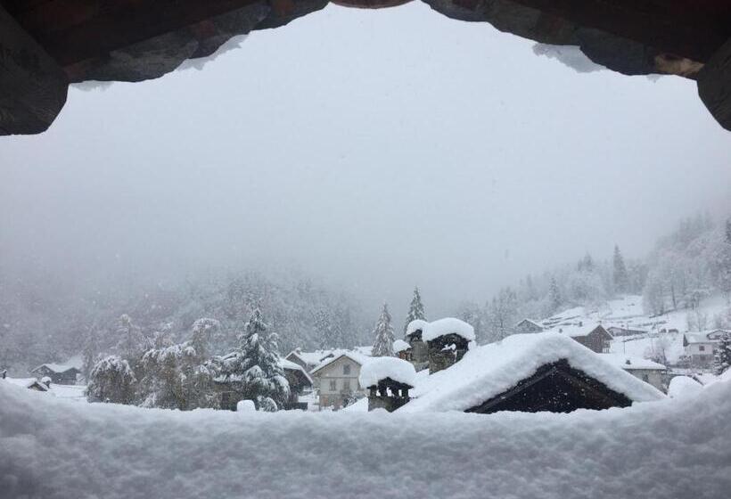 标准三人间, Tre Alberi Liberi