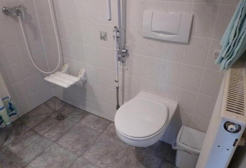 غرفة قياسية لذوى الاحتياجات الخاصة, Pension Forstgut Waldeck