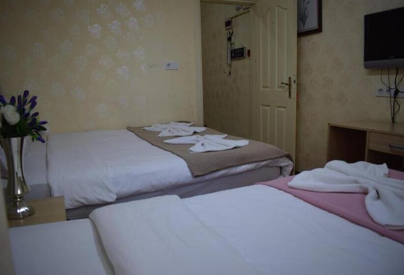 Pokój Standard Trzyosobowy, Sur Istanbul