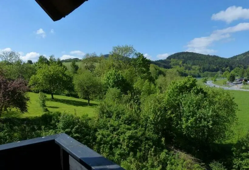 Standard-huone Parveke, Cafe Pension Waldesruh
