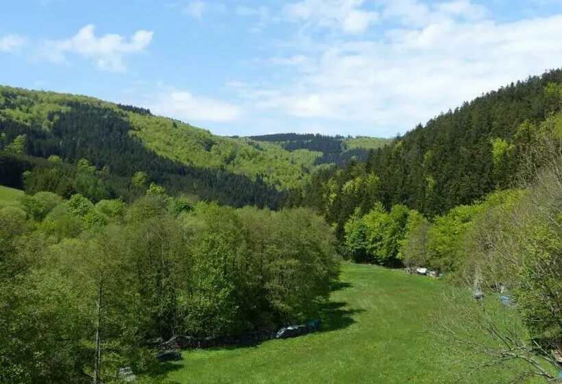 Standard Yhden Hengen Huone Parveke, Cafe Pension Waldesruh