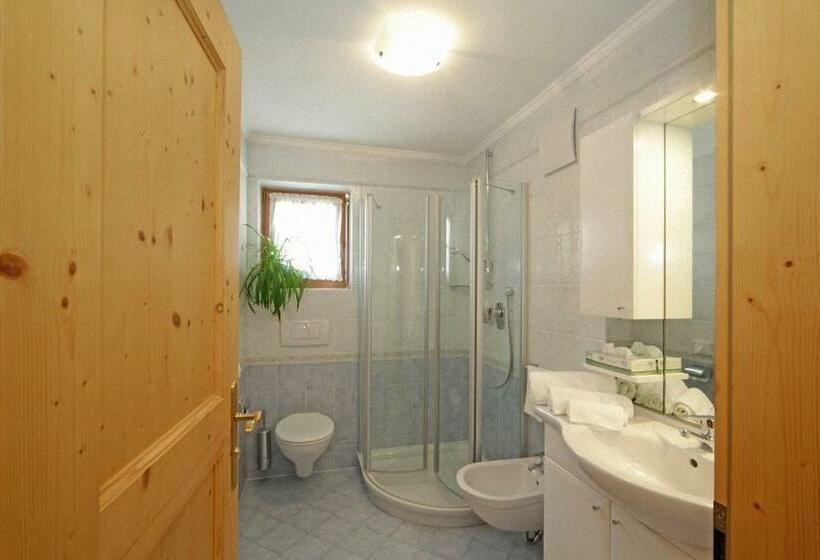 Апартаменты 1 Спальня, Dolomites Apartments Ciasa Vally