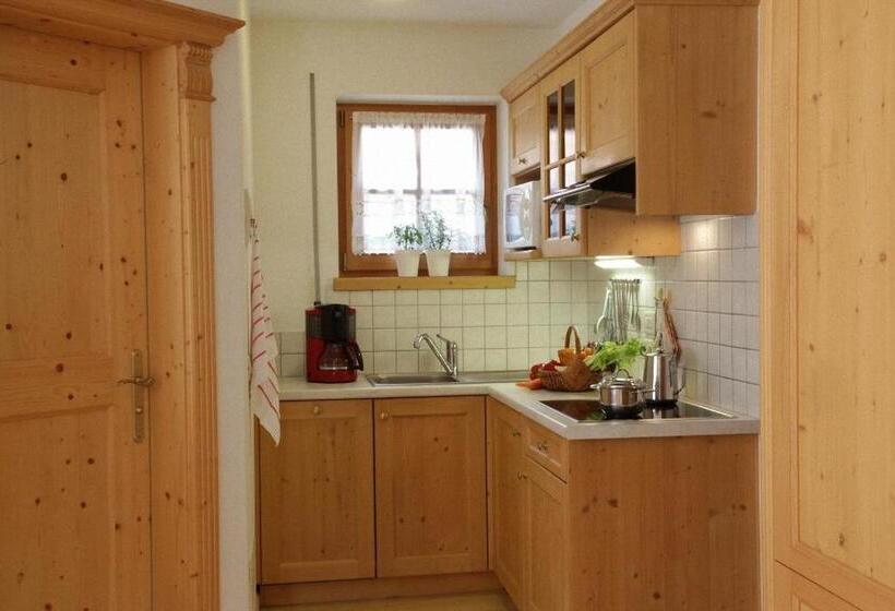 Апартаменты 1 Спальня, Dolomites Apartments Ciasa Vally