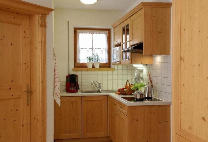 침실 1개 아파트, Dolomites Apartments Ciasa Vally