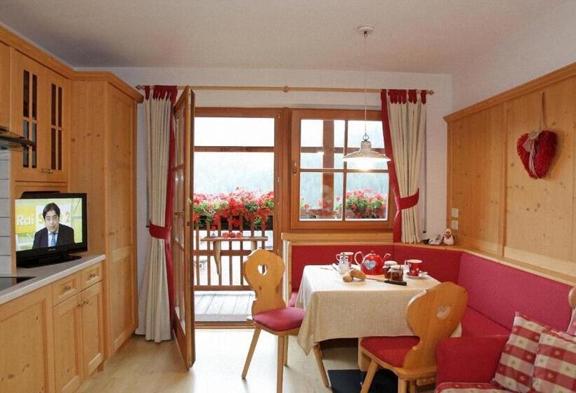 Апартаменты 1 Спальня, Dolomites Apartments Ciasa Vally
