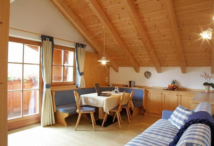 Апартаменты Superior 1 Спальня, Dolomites Apartments Ciasa Vally