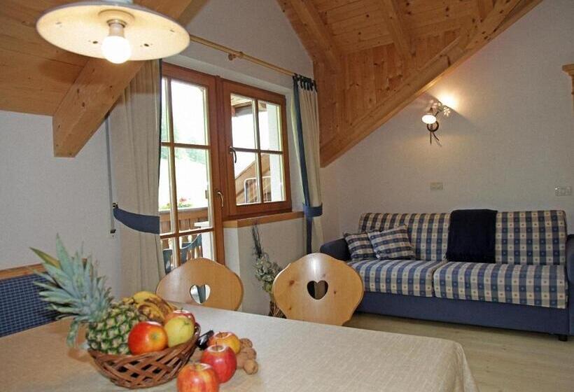 패밀리 아파트, Dolomites Apartments Ciasa Vally