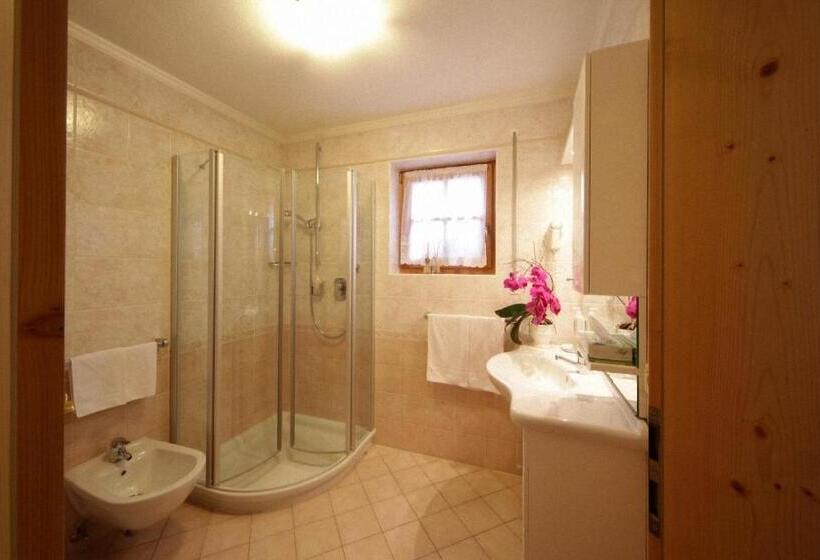 Апартаменты 1 Спальня, Dolomites Apartments Ciasa Vally