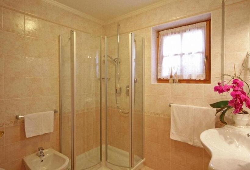 Апартаменты 1 Спальня, Dolomites Apartments Ciasa Vally