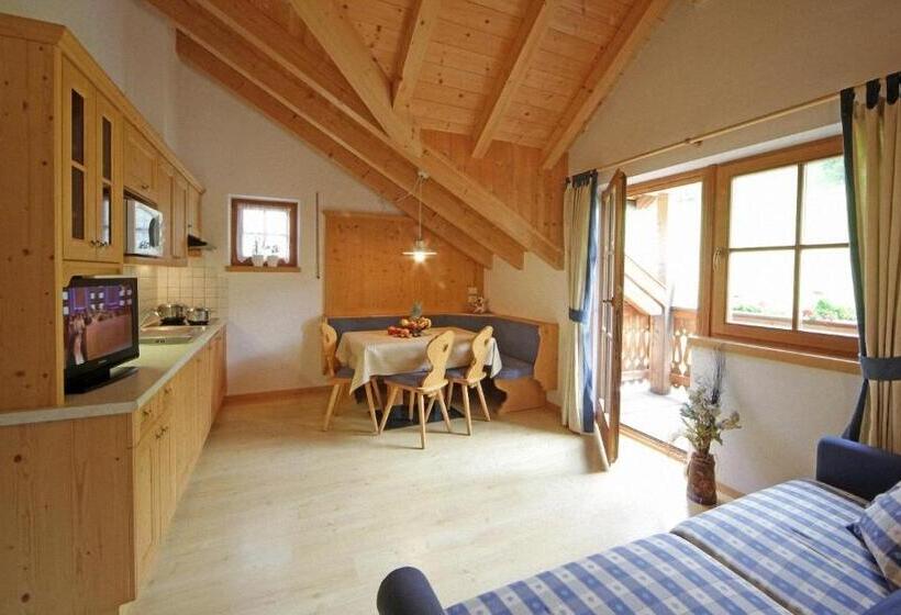 패밀리 아파트, Dolomites Apartments Ciasa Vally