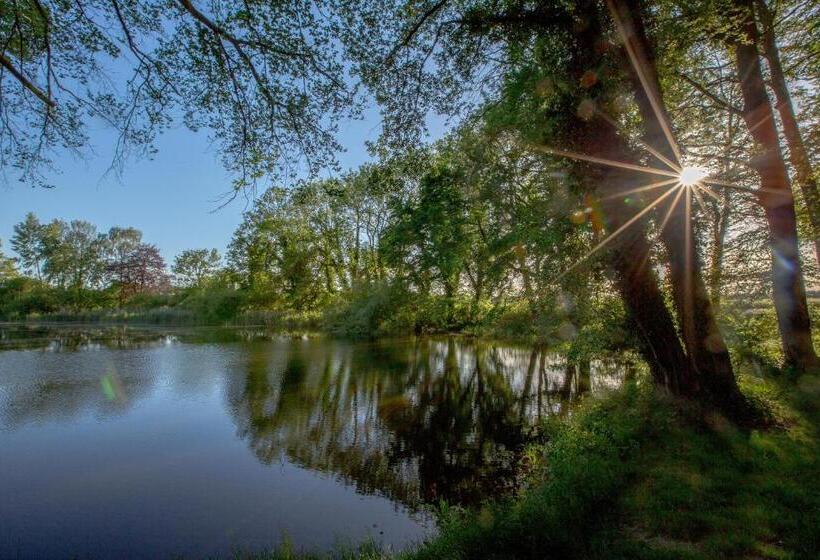 기본룸, Matys Landhausperle An Der Müritz