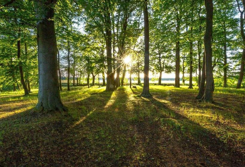 수피리어 룸, Matys Landhausperle An Der Müritz