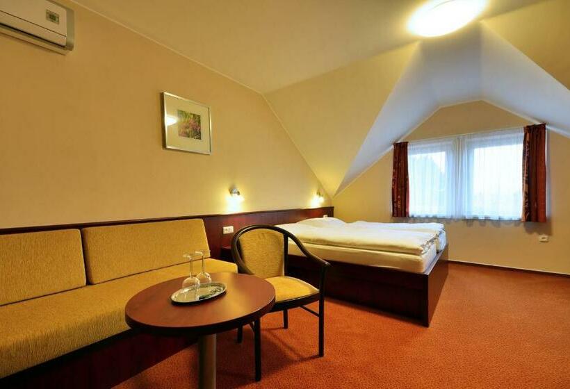 スタンダードルーム, Penzion Siesta