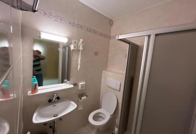 חדר סטנדרט יחיד עם מרפסת, Pension Alpina