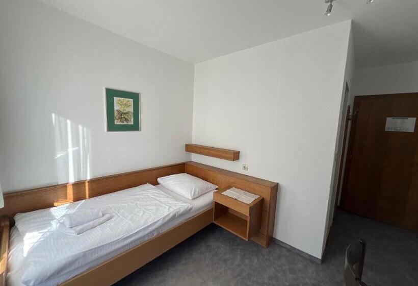 חדר דלוקס יחיד, Pension Alpina