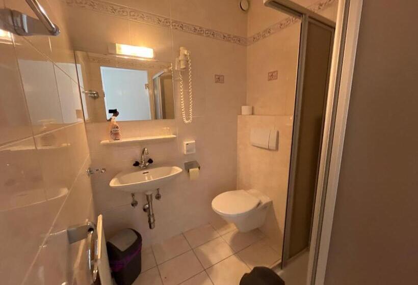 חדר דלוקס יחיד, Pension Alpina