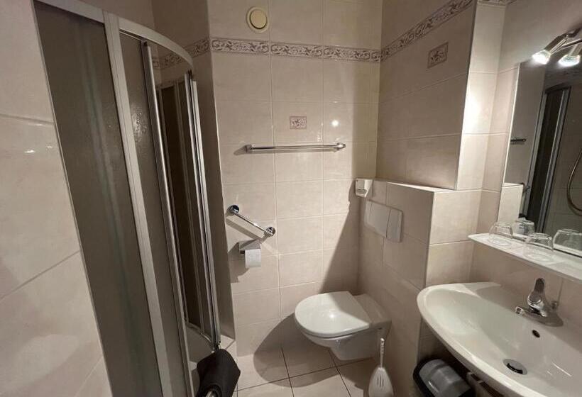 חדר סטנדרט עם מרפסת, Pension Alpina