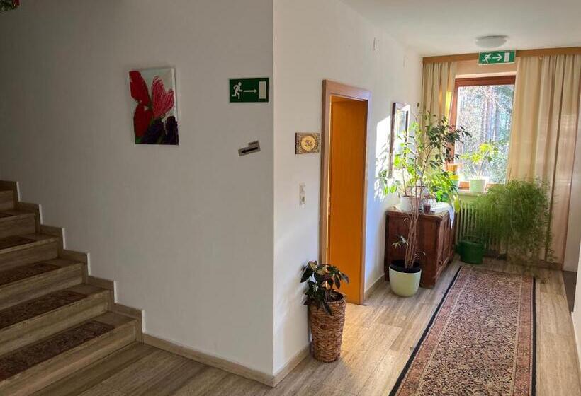 חדר סטנדרט יחיד, Pension Alpina