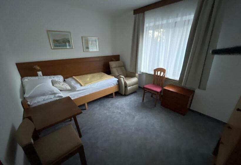 חדר סטנדרט יחיד, Pension Alpina