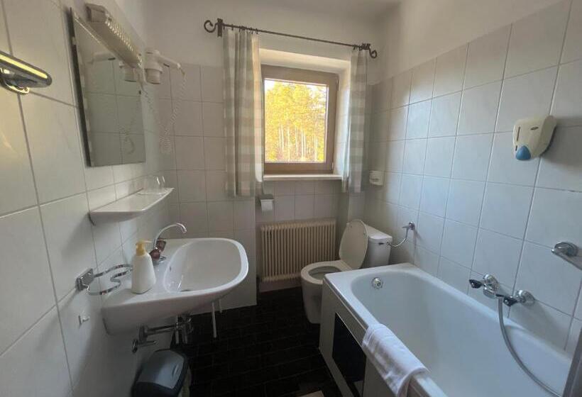 חדר משפחתי, Pension Alpina