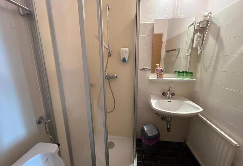 חדר סטנדרט, Pension Alpina