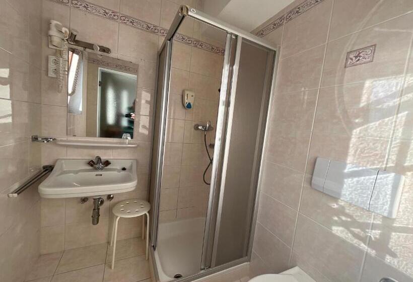 חדר סטנדרט יחיד, Pension Alpina