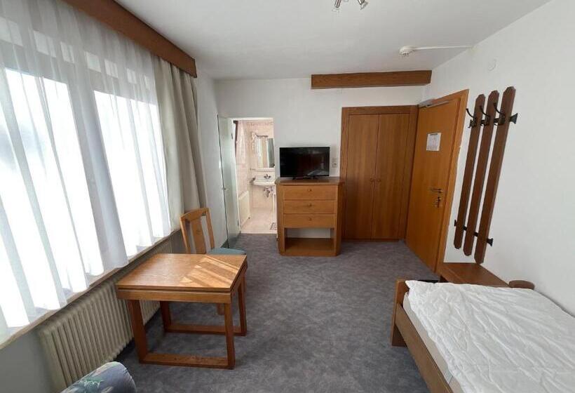 חדר סטנדרט יחיד, Pension Alpina