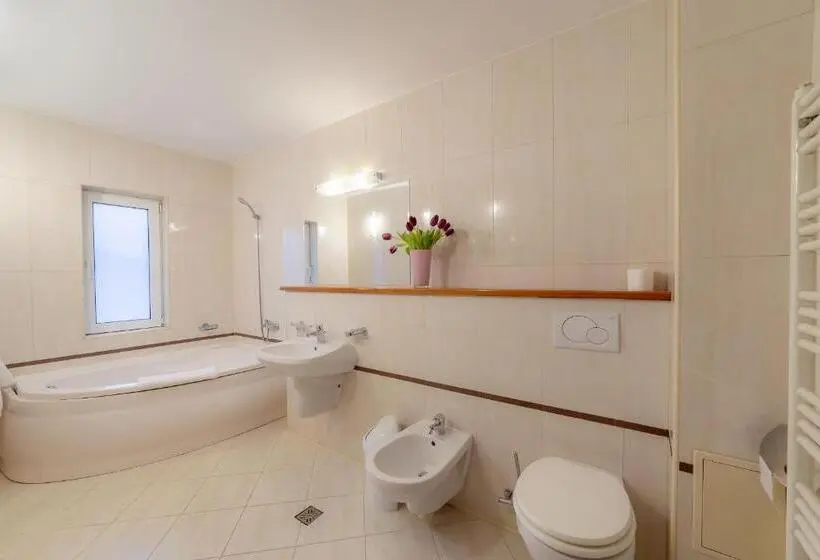 スタンダードシングルルーム, Pension Cluj