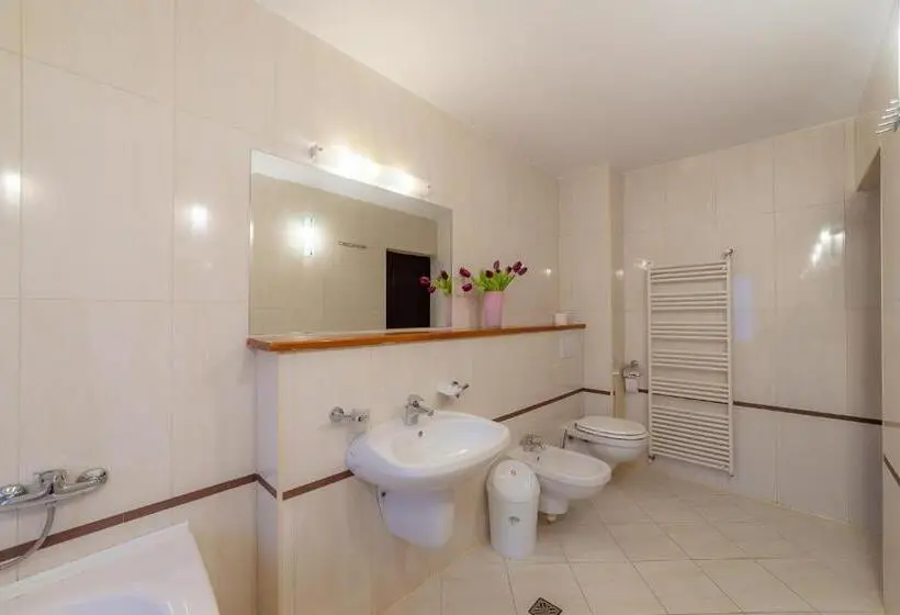 スタンダードシングルルーム, Pension Cluj