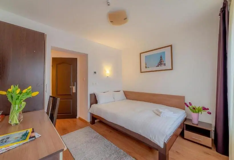 スタンダードシングルルーム, Pension Cluj