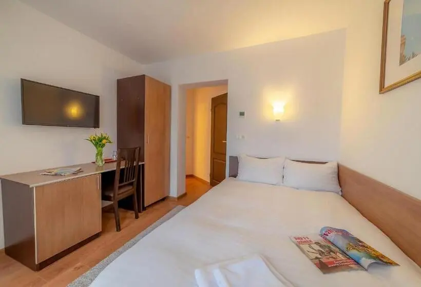 スタンダードシングルルーム, Pension Cluj