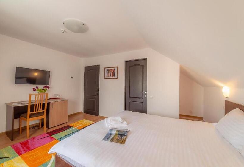 스탠다드 룸, Pension Cluj