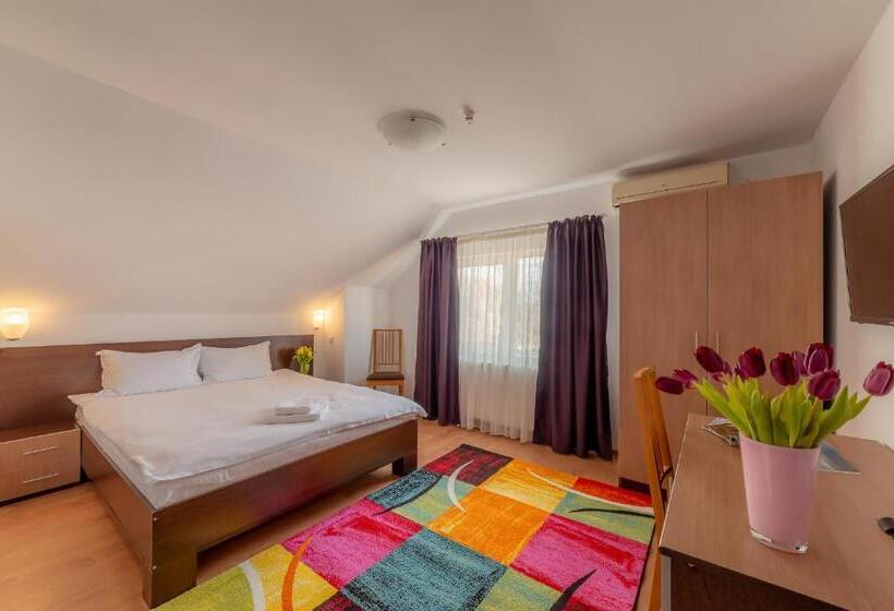 스탠다드 룸, Pension Cluj