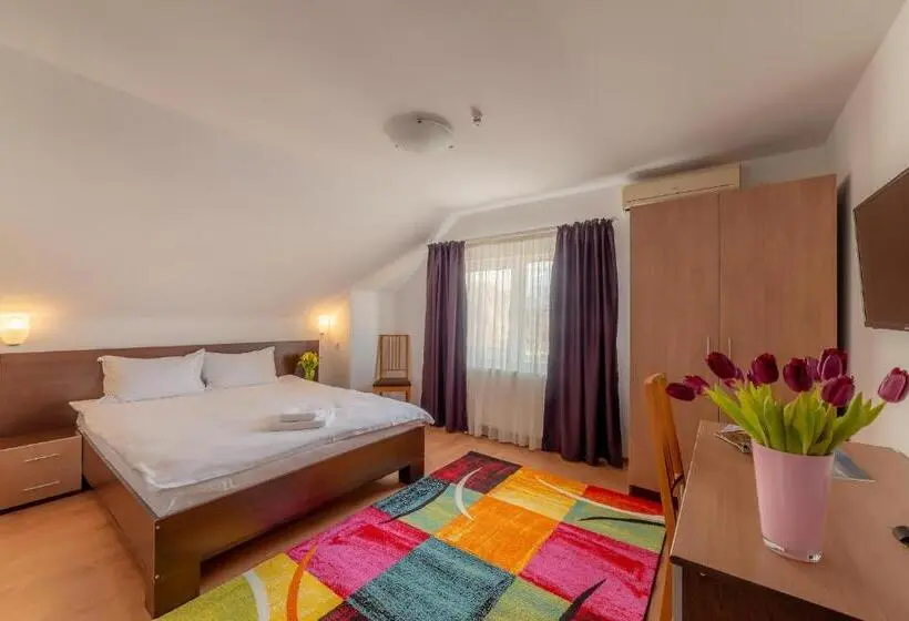 スタンダードルーム, Pension Cluj