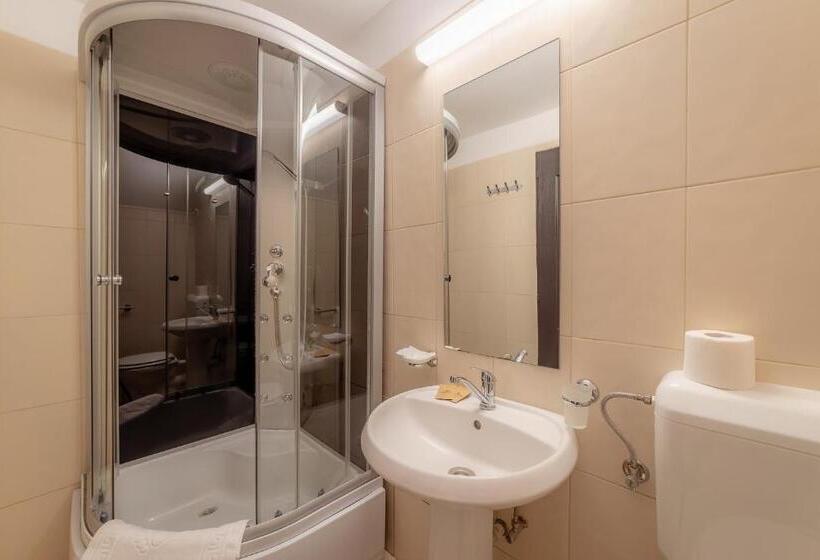 스탠다드 룸, Pension Cluj