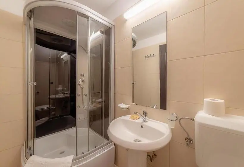 スタンダードルーム, Pension Cluj