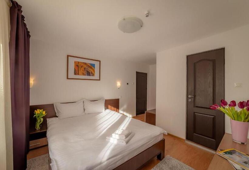 스탠다드 룸, Pension Cluj