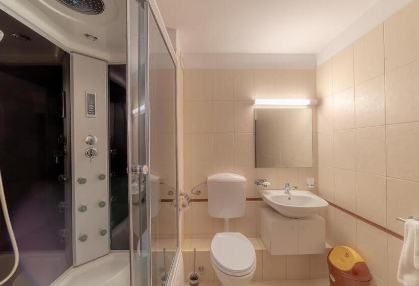 스탠다드 룸, Pension Cluj