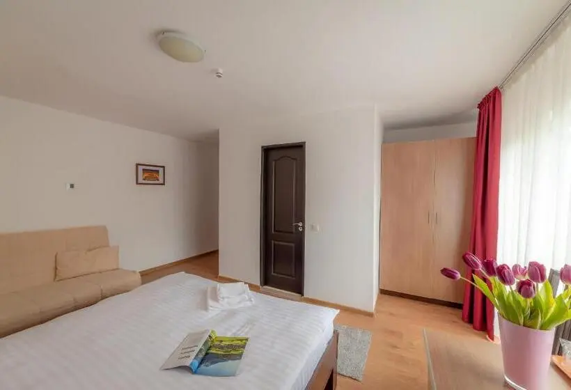 ファミリールーム, Pension Cluj