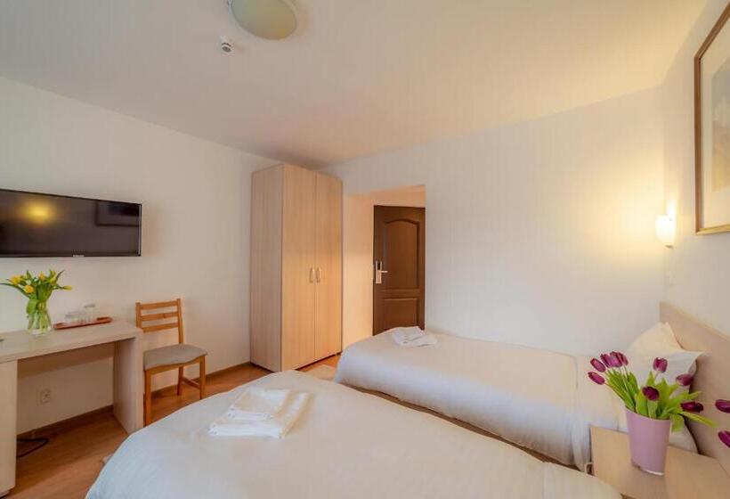 패밀리 룸, Pension Cluj